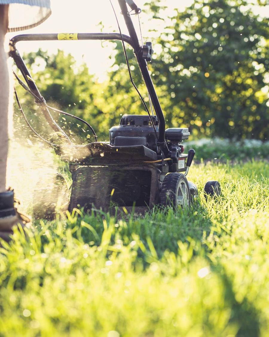 Gartenpflege: Rasenmähen auf einer frisch geschnittenen Fläche